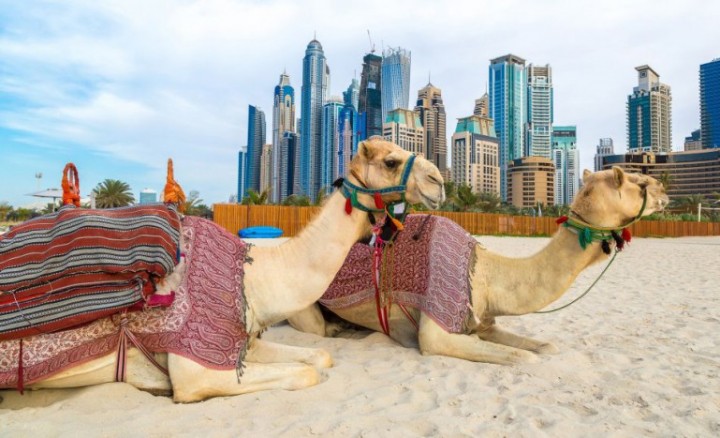 10 atracții turistice faimose în Emiratele Arabe Unite