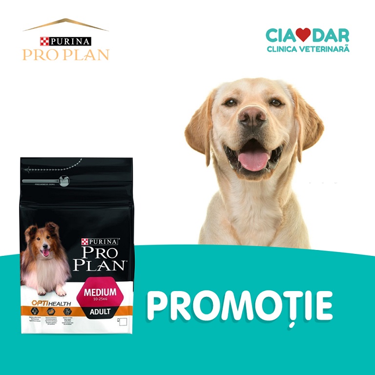 Vet-Exotica clinica veterinară