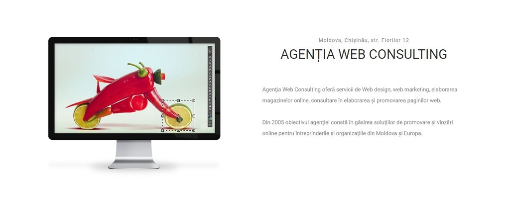 Agenția Web Consulting