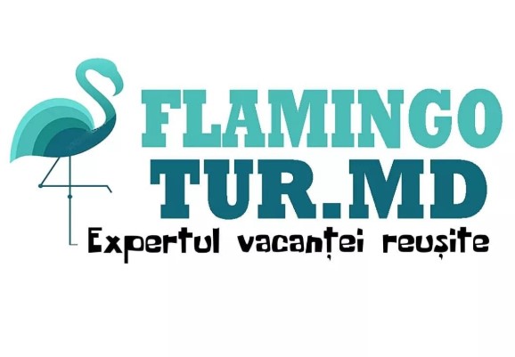 flamingo tur