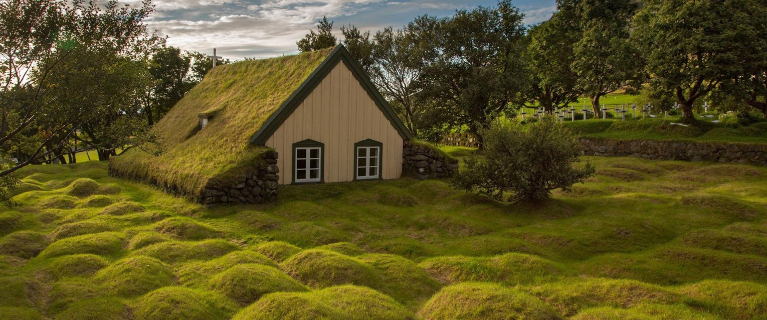 Новая тенденция: зелёные крыши и живые стены.
