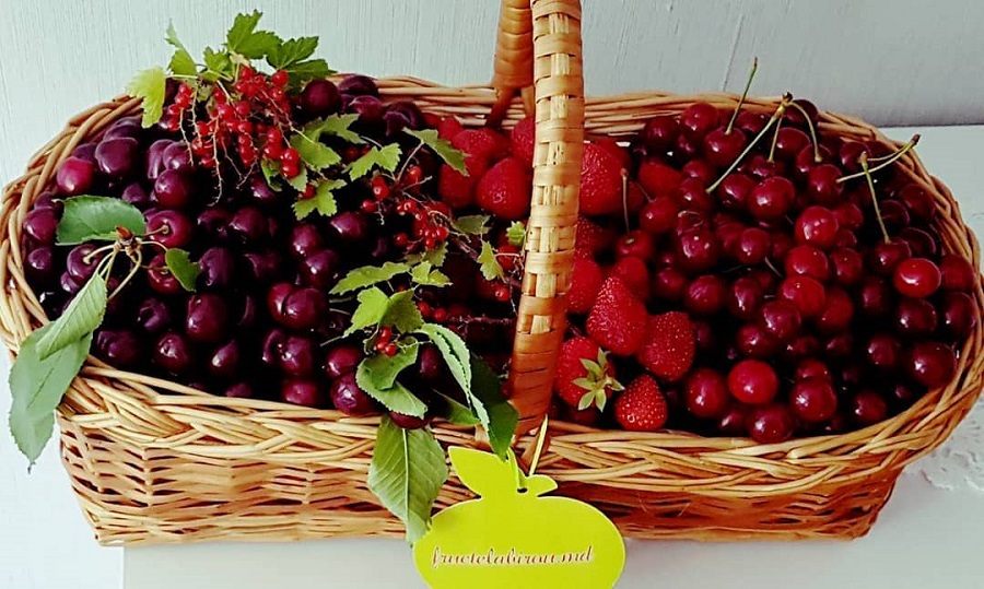 fructelabirou