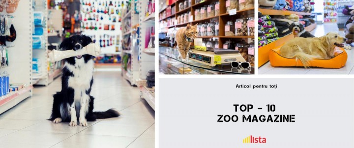 Zoo Magazine unde găsim Animale de Vânzare și nu numai