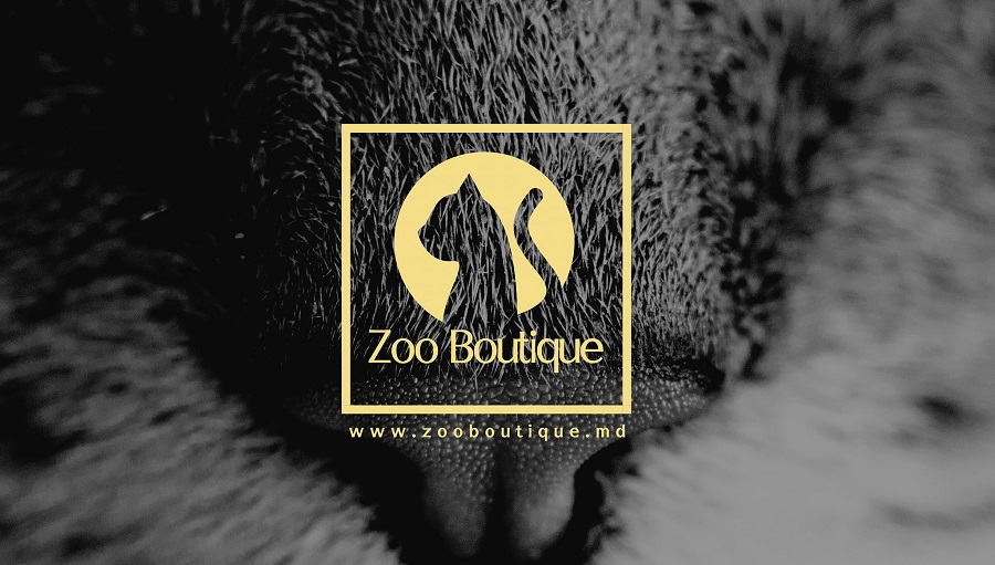 zoo butique