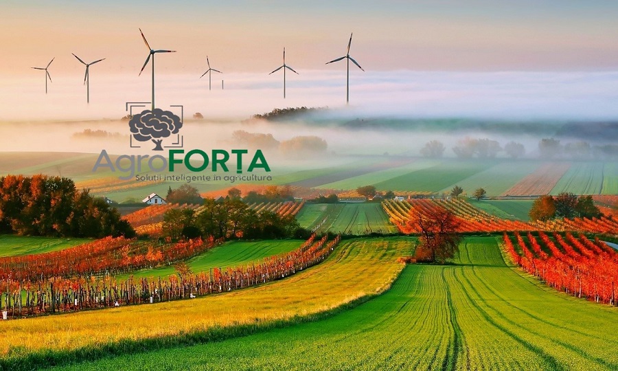agroforta