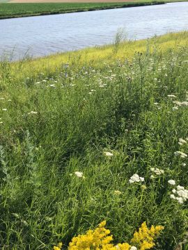 Lacul Valea Rădoaiei