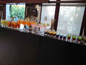 Crown bar /bar mobil