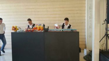 Crown bar /bar mobil