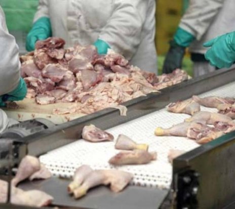 Ofertă - Combinate de procesare a cărnii de pasăre