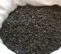 Cumpar seminte floarea soarelui